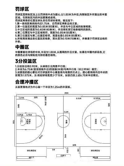 篮球馆高度标准尺寸图？让你轻松打造专业室内篮球场-第3张图片-www.211178.com_果博福布斯