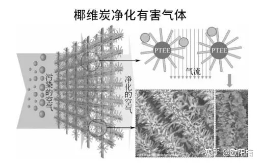 铁钼法甲醛治理技术详解（让你的家居环保更安心）-第3张图片-www.211178.com_果博福布斯