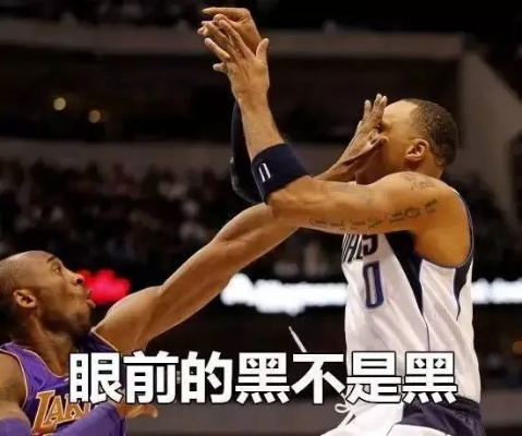 NBA全明星表情包大介绍